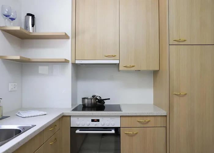 Allod Park Haus B E01 By Interhome * 达沃斯