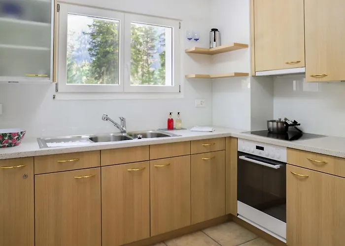 Allod Park Haus B E01 By Interhome 达沃斯